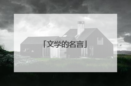 文学的名言