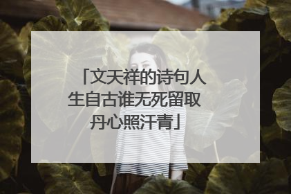 文天祥的诗句人生自古谁无死留取丹心照汗青