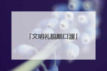 文明礼貌顺口溜