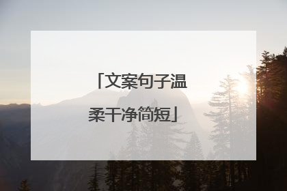文案句子温柔干净简短