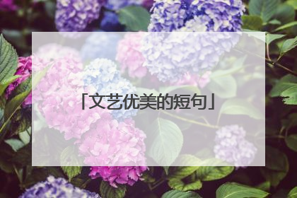 文艺优美的短句