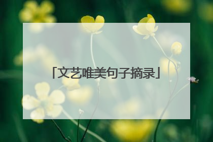 文艺唯美句子摘录