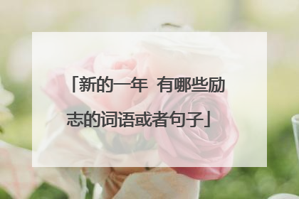 新的一年 有哪些励志的词语或者句子