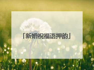 新婚祝福语押韵
