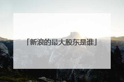 新浪的最大股东是谁