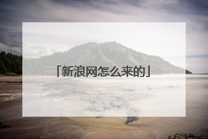 新浪网怎么来的