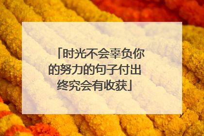 时光不会辜负你的努力的句子付出终究会有收获