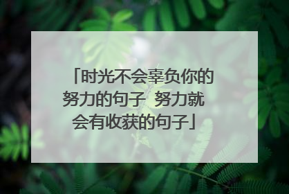 时光不会辜负你的努力的句子 努力就会有收获的句子