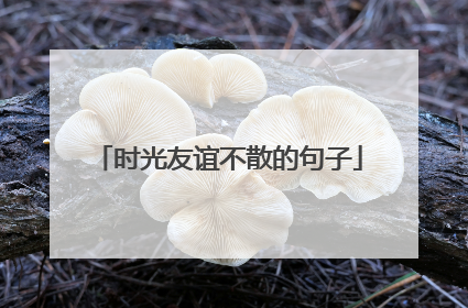 时光友谊不散的句子