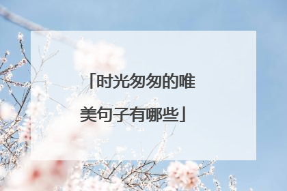 时光匆匆的唯美句子有哪些