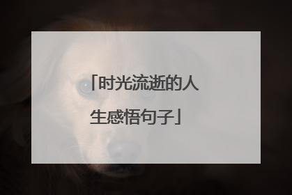 时光流逝的人生感悟句子