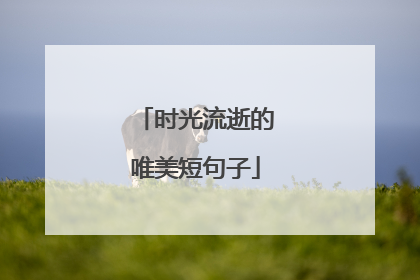 时光流逝的唯美短句子