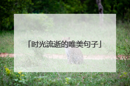时光流逝的唯美句子
