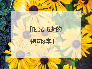 时光飞逝的短句8字
