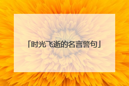 时光飞逝的名言警句