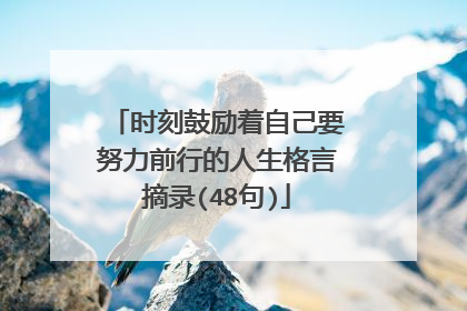 时刻鼓励着自己要努力前行的人生格言摘录(48句)