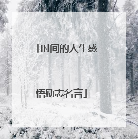 时间的人生感悟励志名言