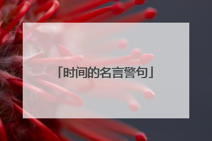 时间的名言警句