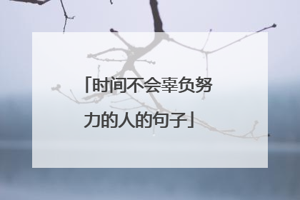 时间不会辜负努力的人的句子