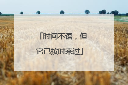 时间不语,但它已按时来过