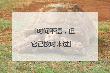 时间不语,但它已按时来过