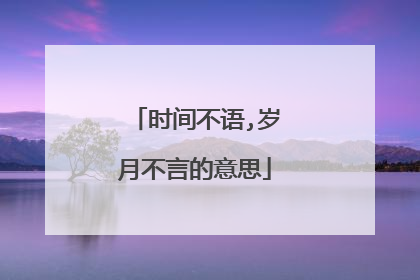 时间不语,岁月不言的意思