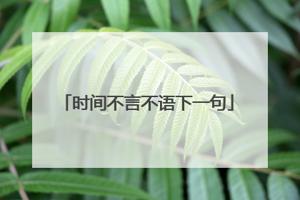 时间不言不语下一句
