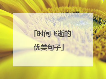 时间飞逝的优美句子