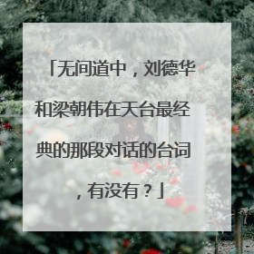 无间道中,刘德华和梁朝伟在天台最经典的那段对话的台词,有没有?