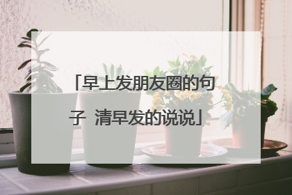 早上发朋友圈的句子 清早发的说说