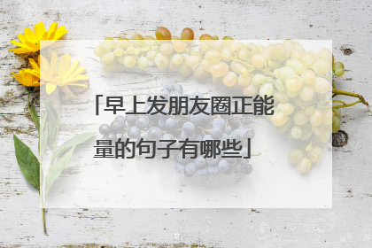 早上发朋友圈正能量的句子有哪些