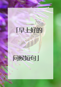 早上好的问候短句