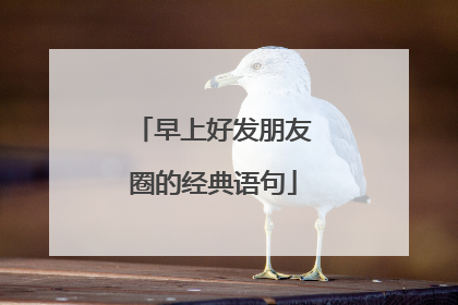 早上好发朋友圈的经典语句