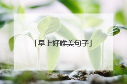 早上好唯美句子