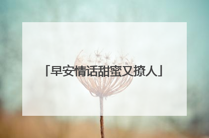 早安情话甜蜜又撩人
