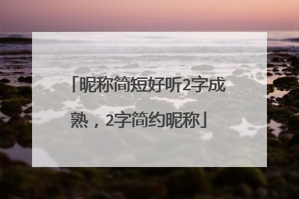 昵称简短好听2字成熟，2字简约昵称