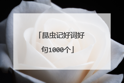 昆虫记好词好句1000个