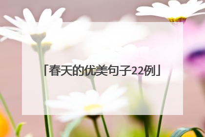 春天的优美句子22例