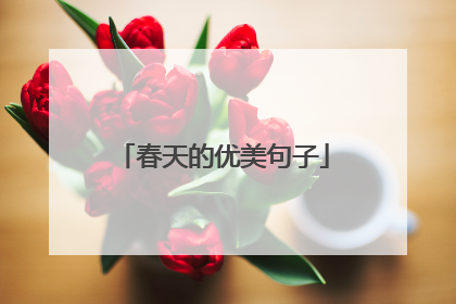 春天的优美句子