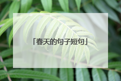 春天的句子短句