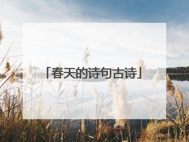 春天的诗句古诗