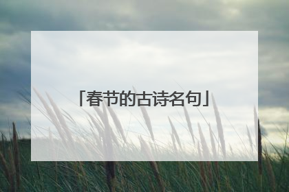 春节的古诗名句