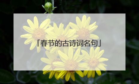 春节的古诗词名句