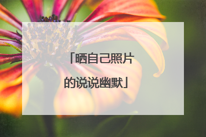 晒自己照片的说说幽默