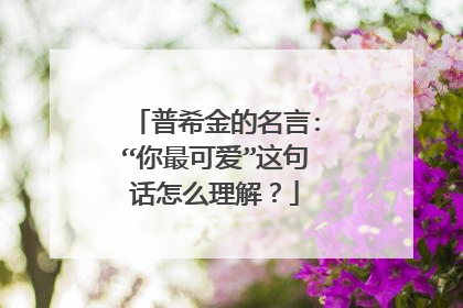 普希金的名言:“你最可爱”这句话怎么理解?