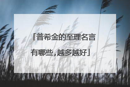 普希金的至理名言有哪些,越多越好