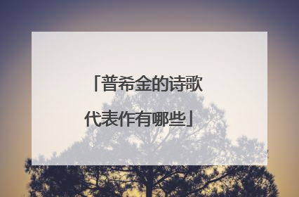 普希金的诗歌代表作有哪些