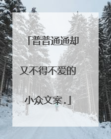 普普通通却又不得不爱的小众文案.