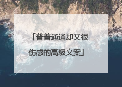 普普通通却又很伤感的高级文案