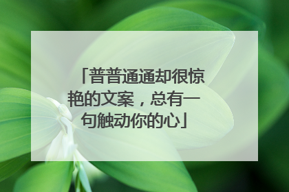 普普通通却很惊艳的文案,总有一句触动你的心